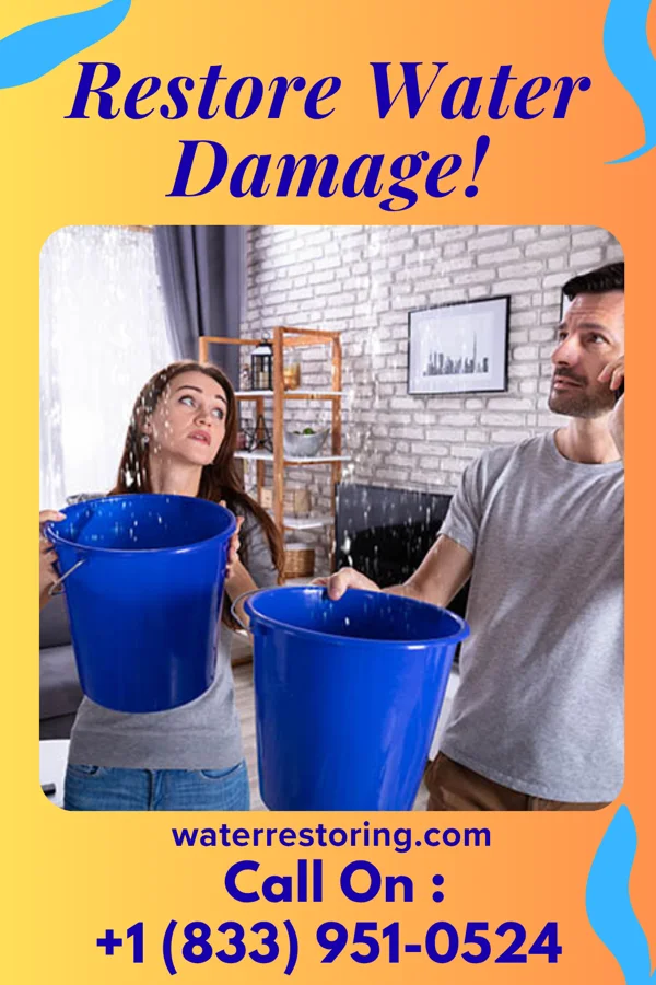 water restoration Titan Water Removal Experts Dublin