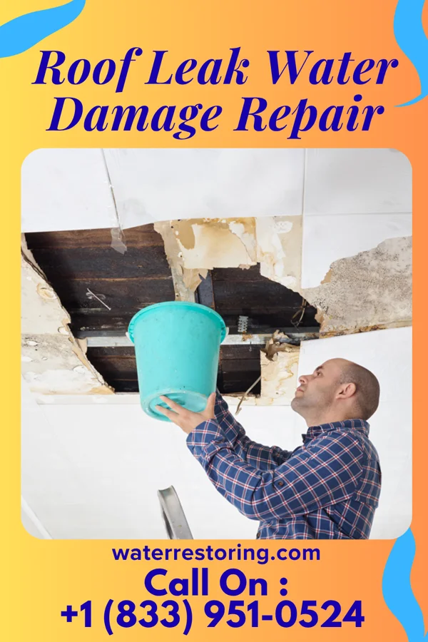 Roof Leak Water Damage Repair in Dublin, VA