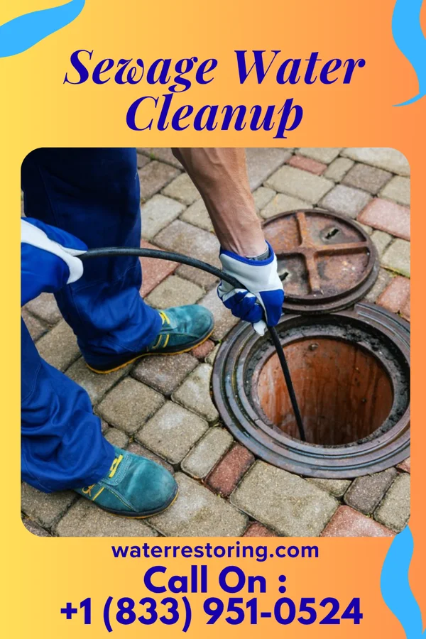 Sewage Water Cleanup in Dublin, VA